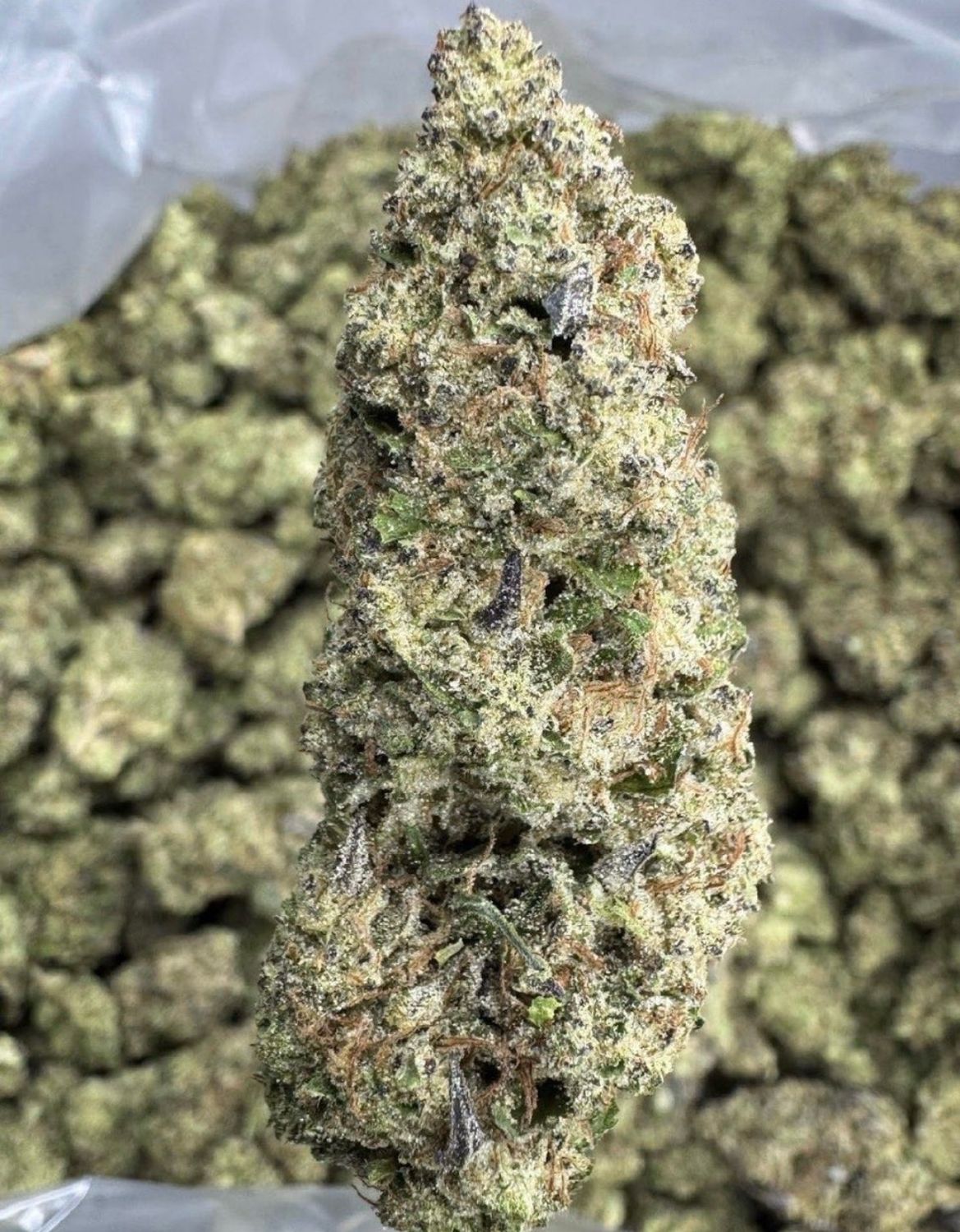 Hash Burger