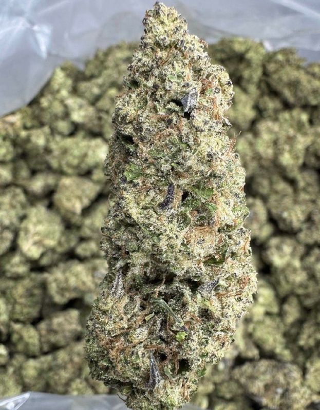 Hash Burger