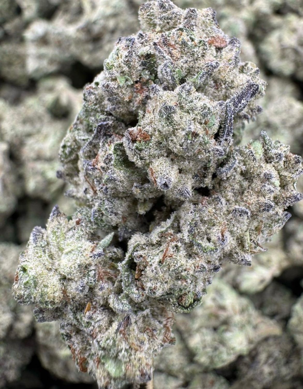 Guava Gas