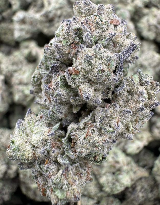 Guava Gas