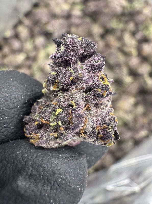 Tropicana Cherry Smalls