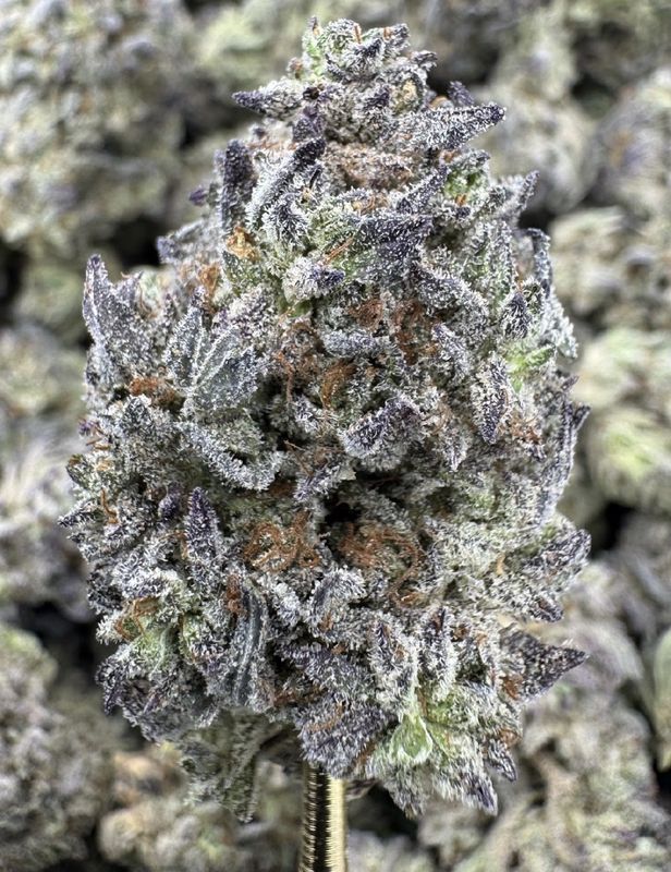 White Widow