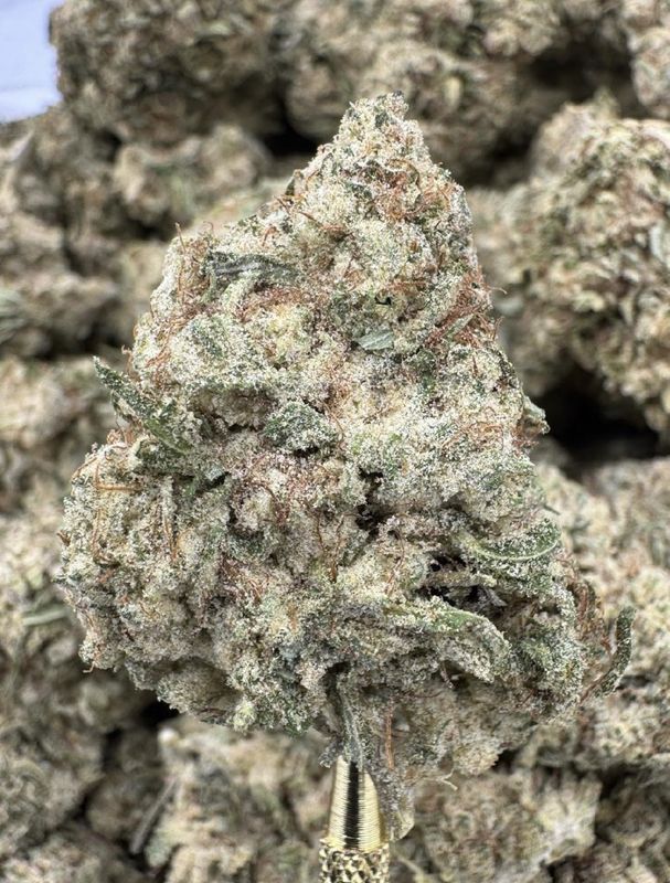 Florida Kush
