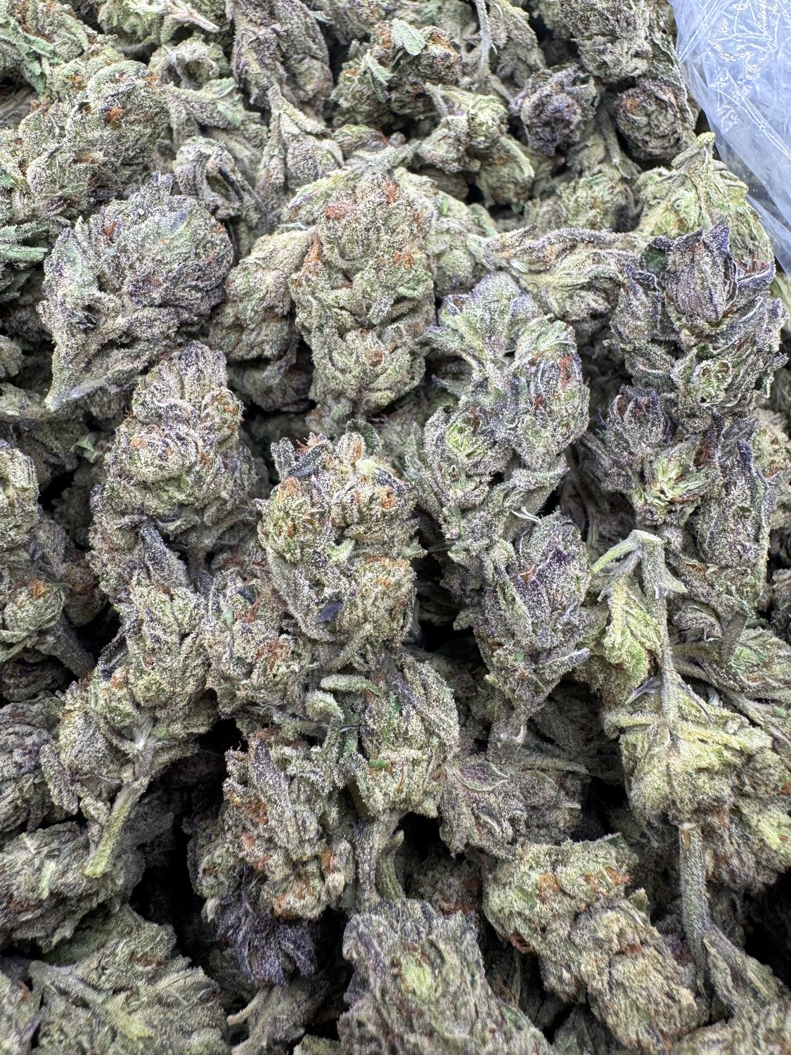 Pink Lemonade