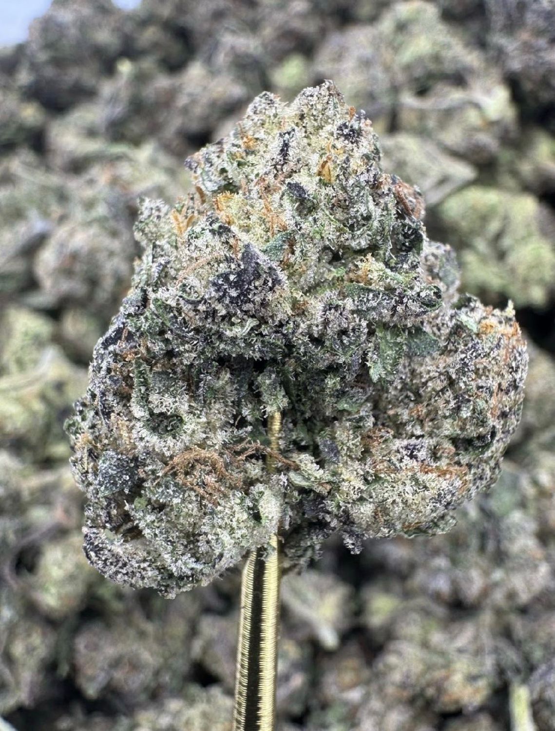 Strawberry Mimosa