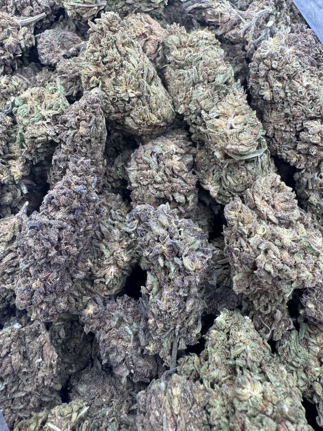 Purple Reign