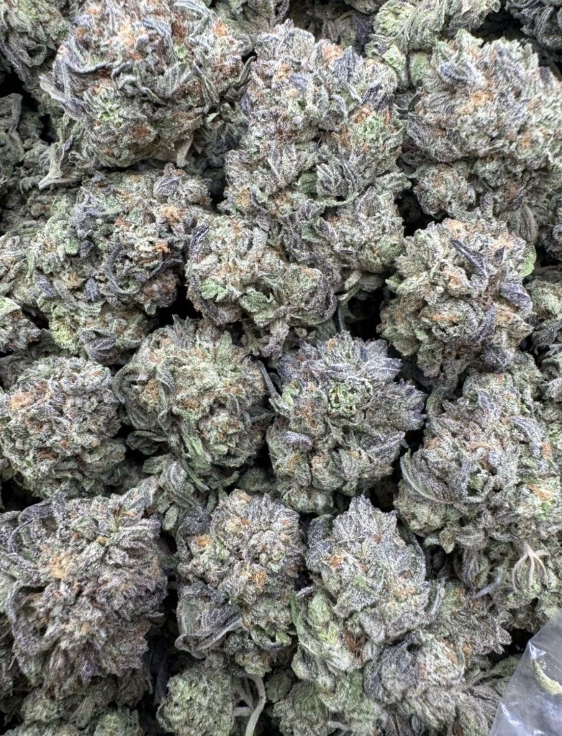 Gorrila Glue
