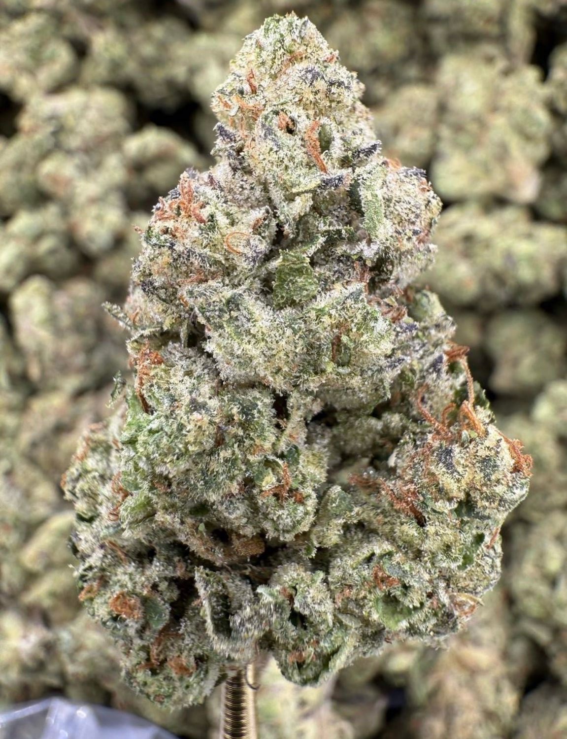 GMO Cookies