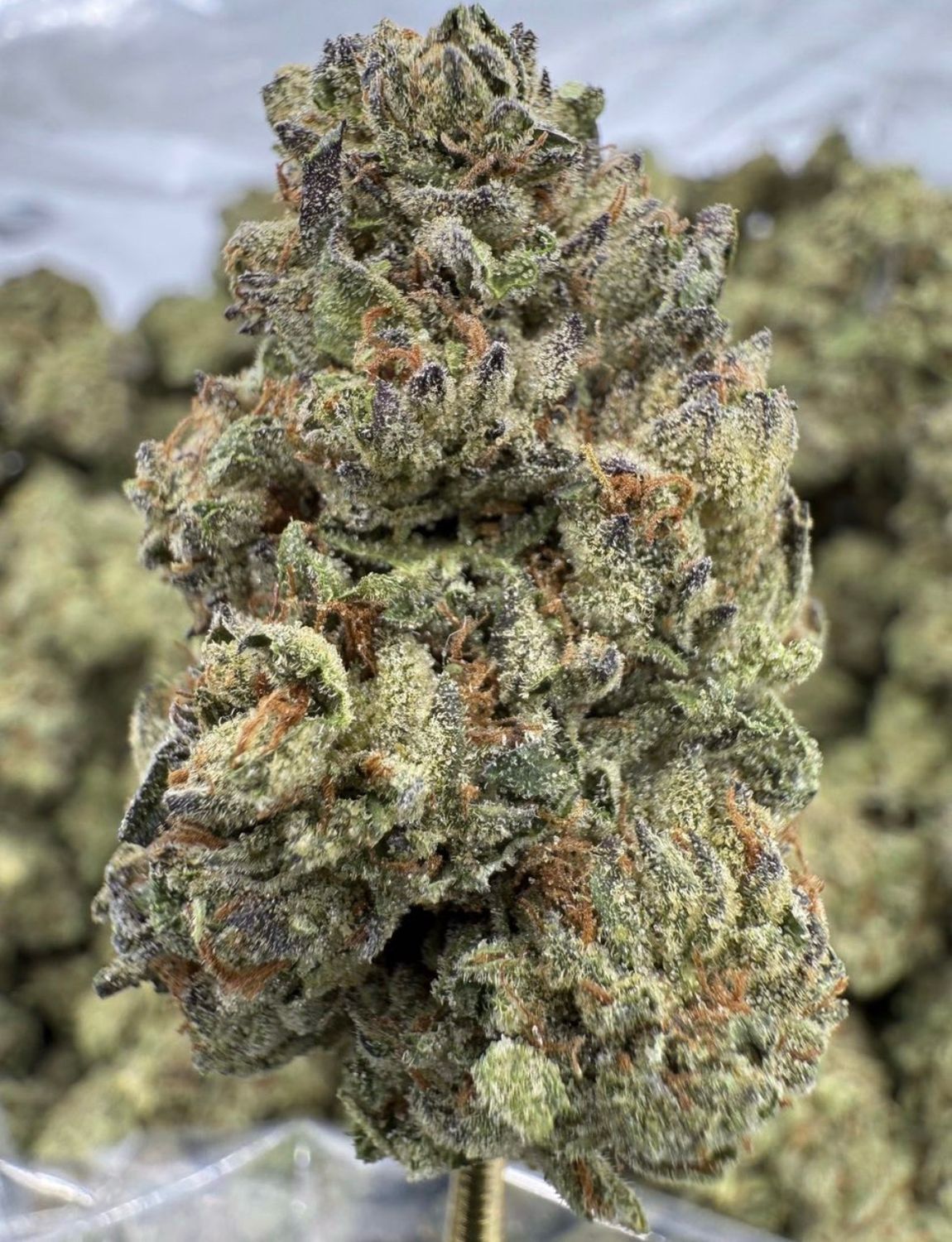 Jelly Roll