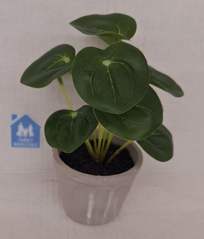 6.5&quot; Mini Faux Pilea Potted Plant - Hearth &amp; Hand with Magnolia  Discover more
