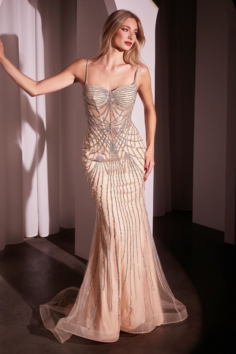 Cd766 Silver-nude Prom/evening Dress