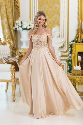 4482 Champagne A-Line Sheer Dress