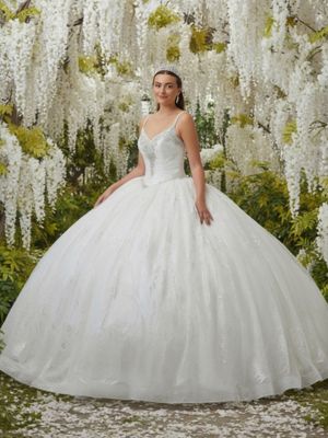 26003 Ivory Bridal/quince Dress