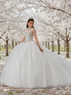 26009 White Bridal/quince Dress