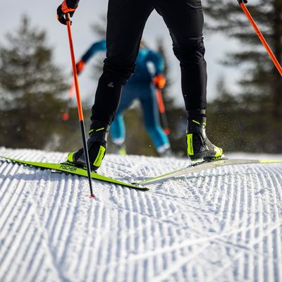 Cross-Country Skis