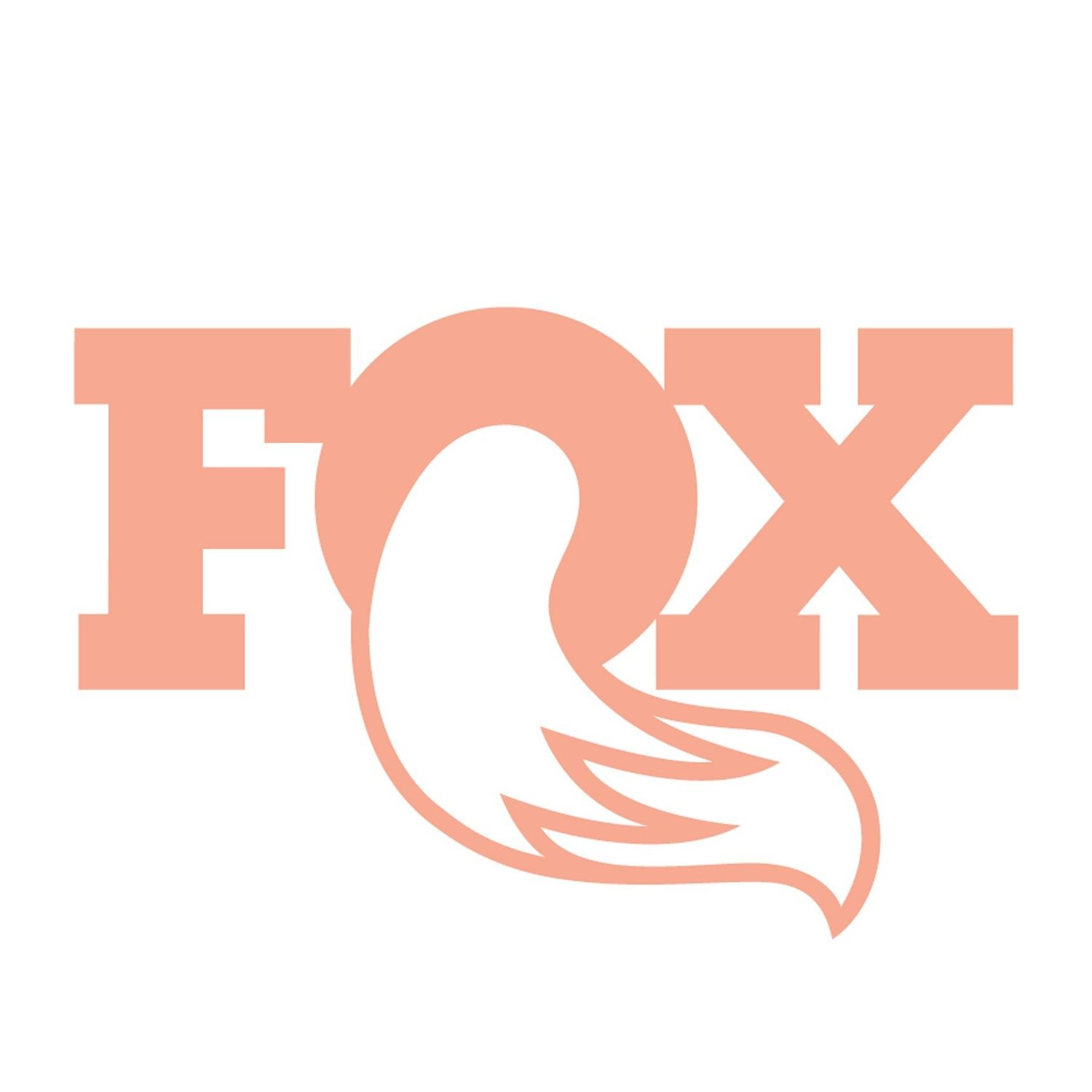 Kit d&#39;entretient complet Fox 32/36/40 open bath