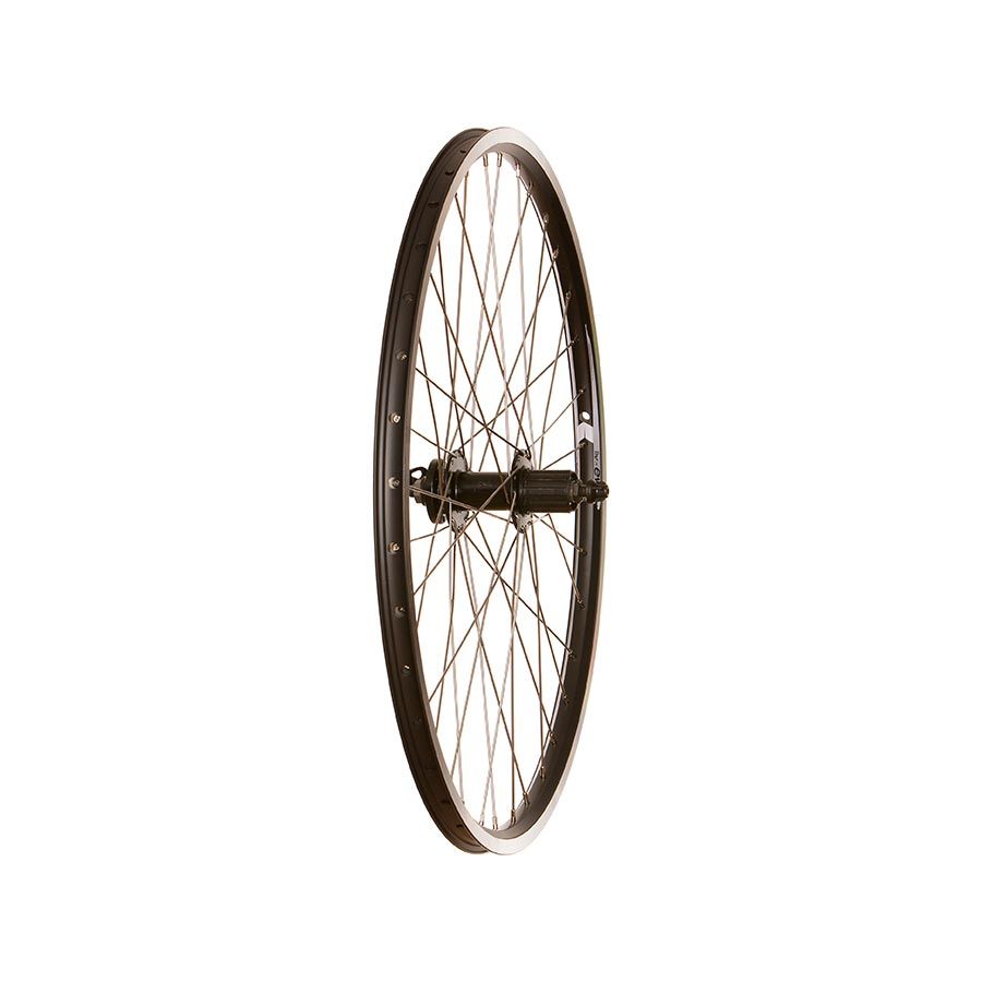 Roue arrière Wheel Shop, Evo Tour 19, 26&#39;&#39; / 559, Trous: 36, QR, 135mm, Jante et disque IS 6-boulons, Shimano HG, Noir