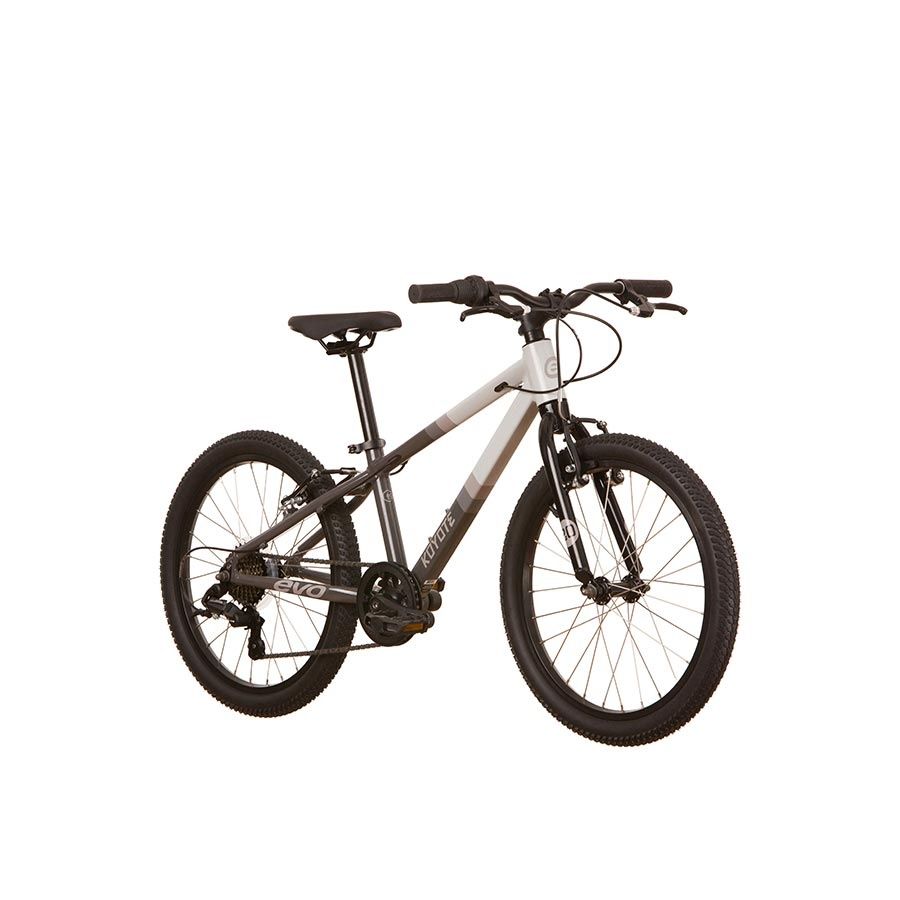 Vélo pour enfants EVO Koyote 7V 20po Gris/Gris