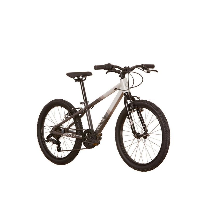Vélo pour enfants EVO Koyote 7V 20po Gris/Gris