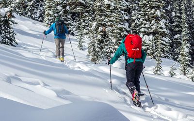 Backcountry