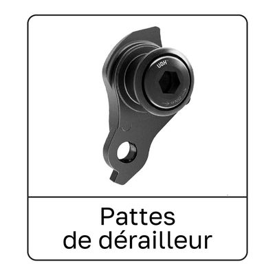 Derailleur Dropouts