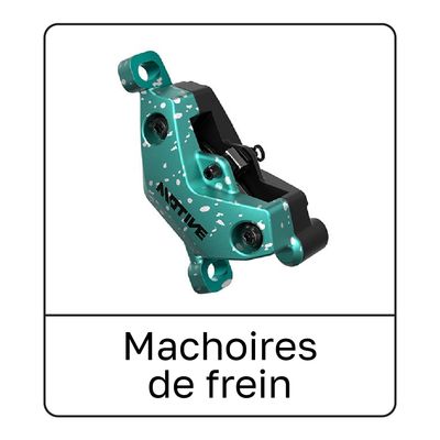 Brake Shoes