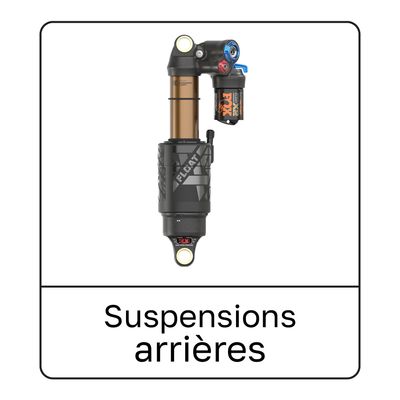 Rear Shocks