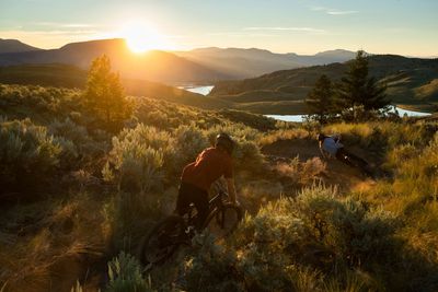 Mountain Bikes
