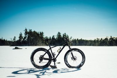 Fatbikes