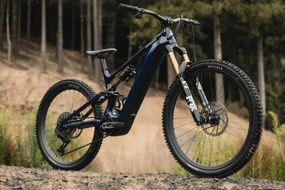 E-Bikes