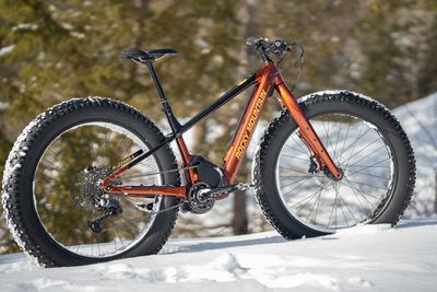 Fatbikes