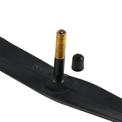 Schrader Valve