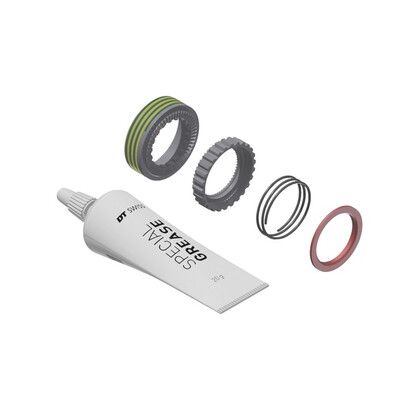 Ensemble d'entretien Dt Swiss Ratchet EXP 54D w/o Tool