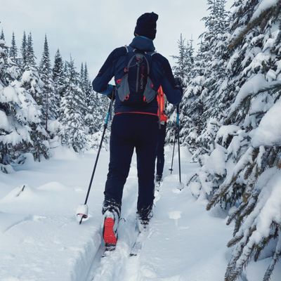 Backcountry