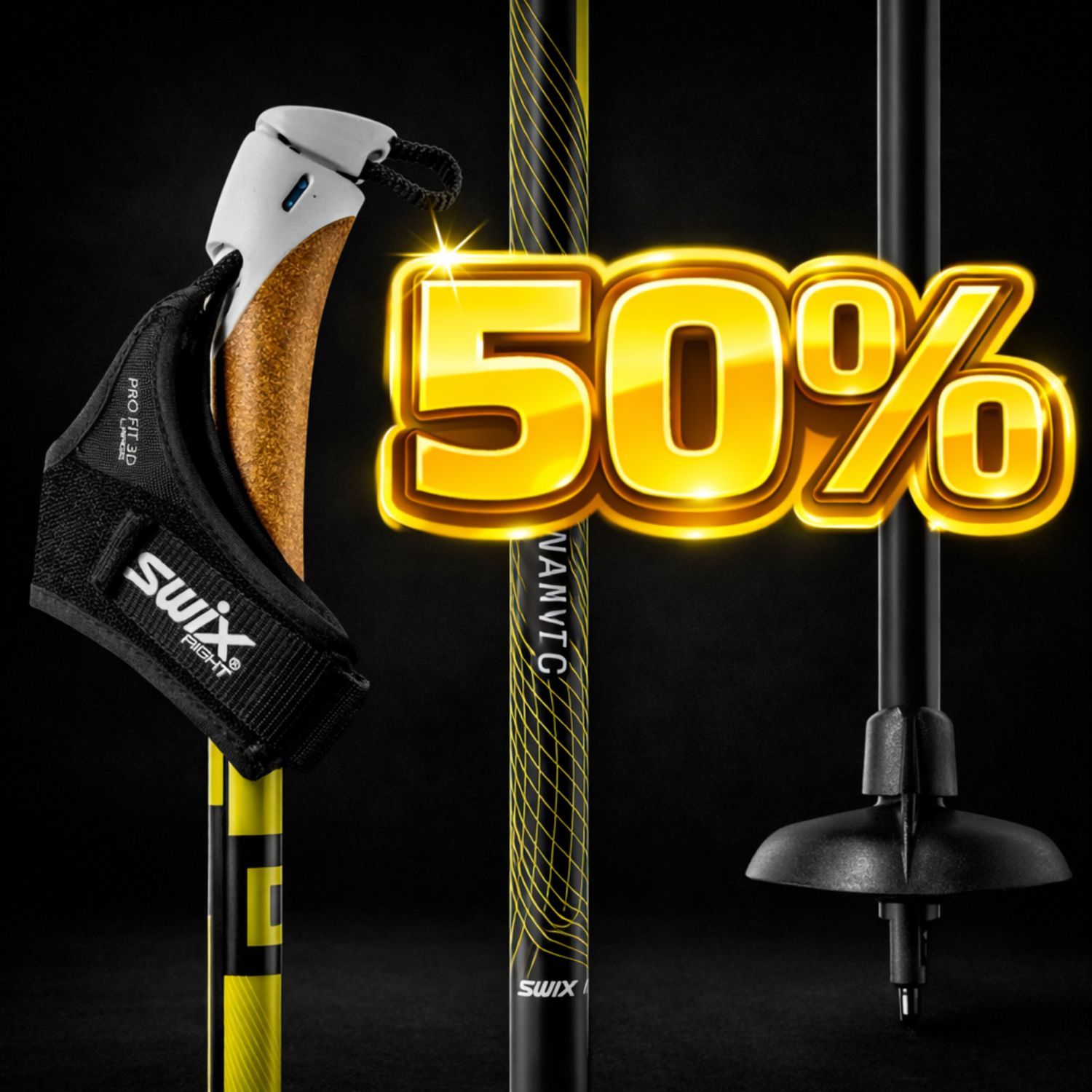 Bâton Swix Dynamic D3