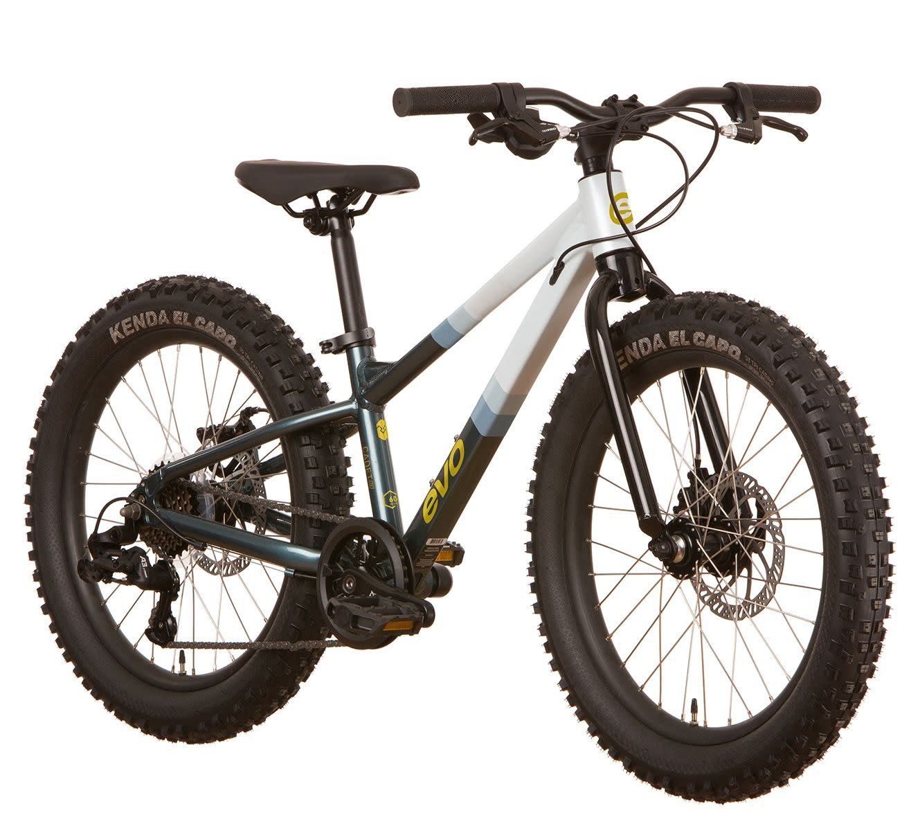 EVO Cadet 20 Kids Bike (Blue/White)