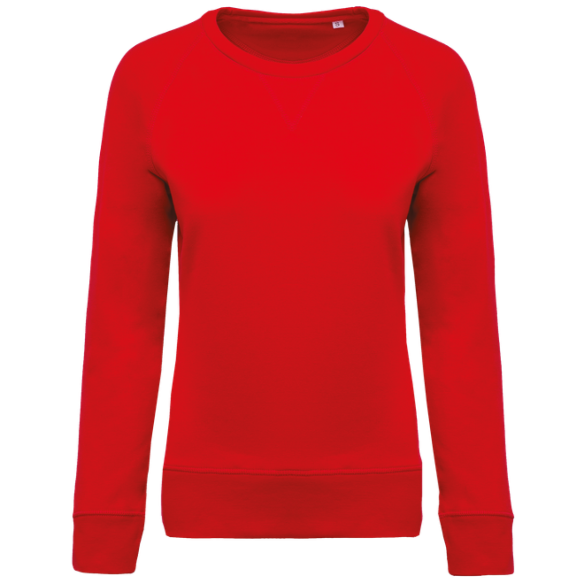 SWEATER MET RONDE HALS DAMES (verschillende kleuren)