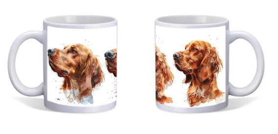 IERSE SETTER