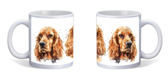 AMERIKAANSE COCKERSPANIEL