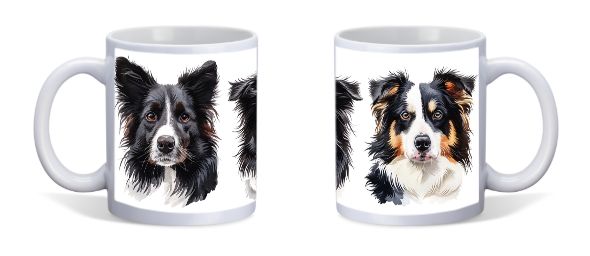 BORDER COLLIE