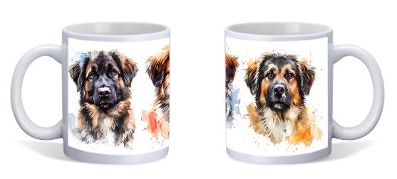 ANATOLIAN SHEPPERD DOG