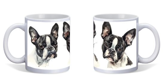 BOSTON TERRIER