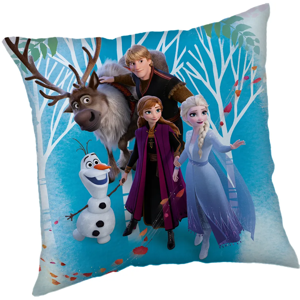 FROZEN 40X40CM