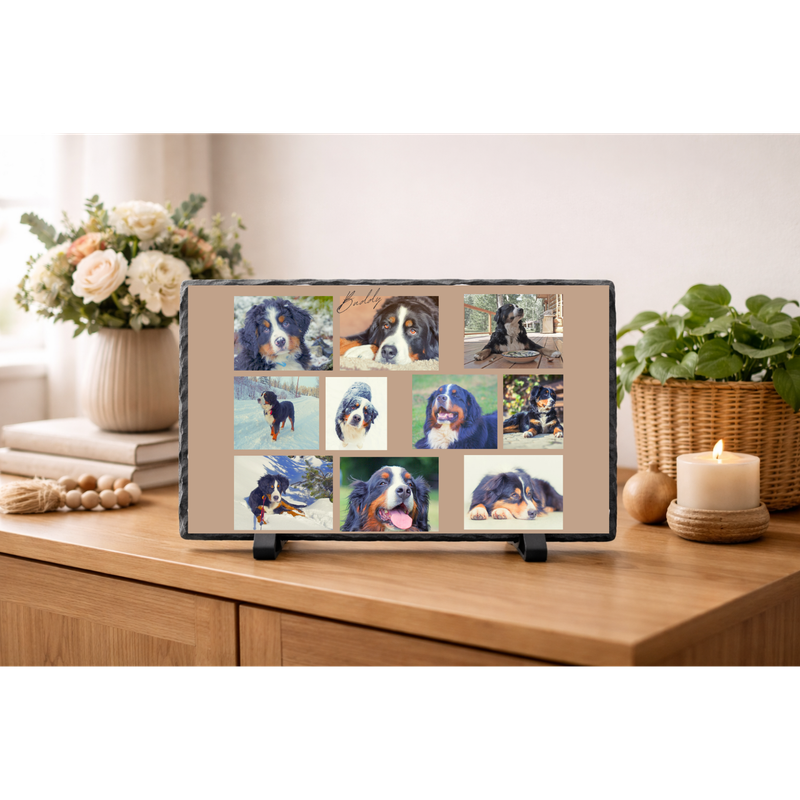 LEISTEEN 5 (upload 10 foto's +naam)