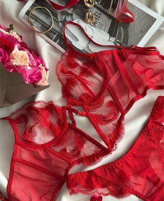 Pizzo rosso non elasticizzato con ricamo di piume 
