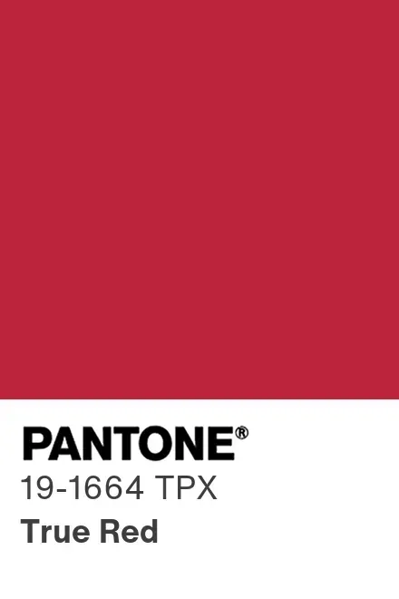 Red Lingerie Elastics