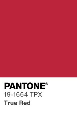 Red Lingerie Elastics