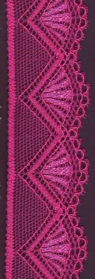 Fuchsia lace