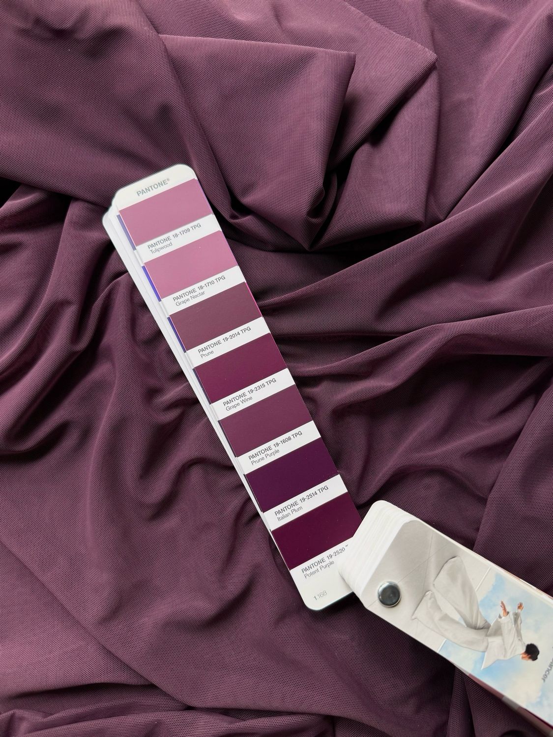 Crocus Stretch Mesh Fabric