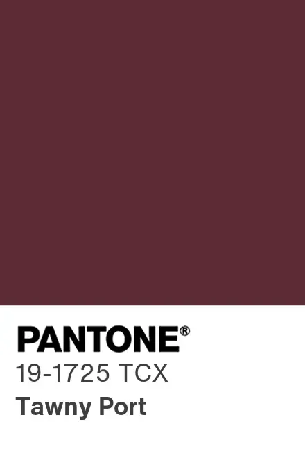 Wine Lingerie Elastics